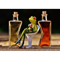 Bouteille 1