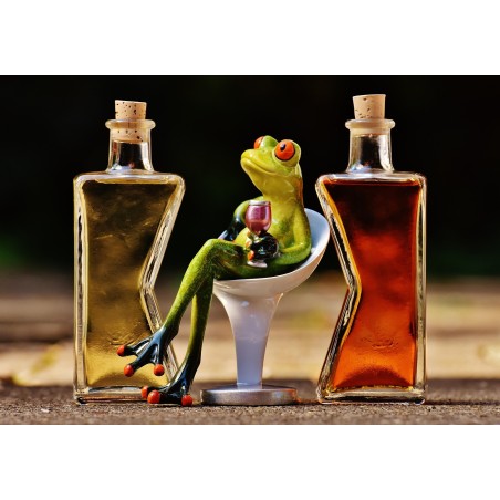 Bouteille 1